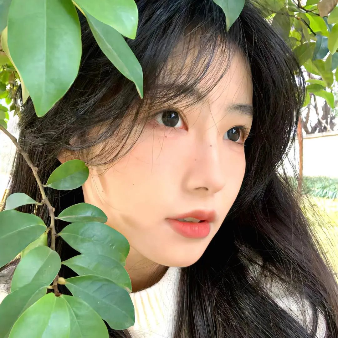 疑神疑鬼的小猪